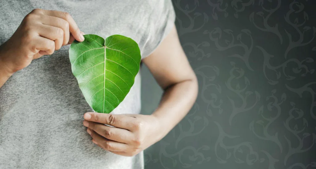 De groene generatie: wonen in het groen